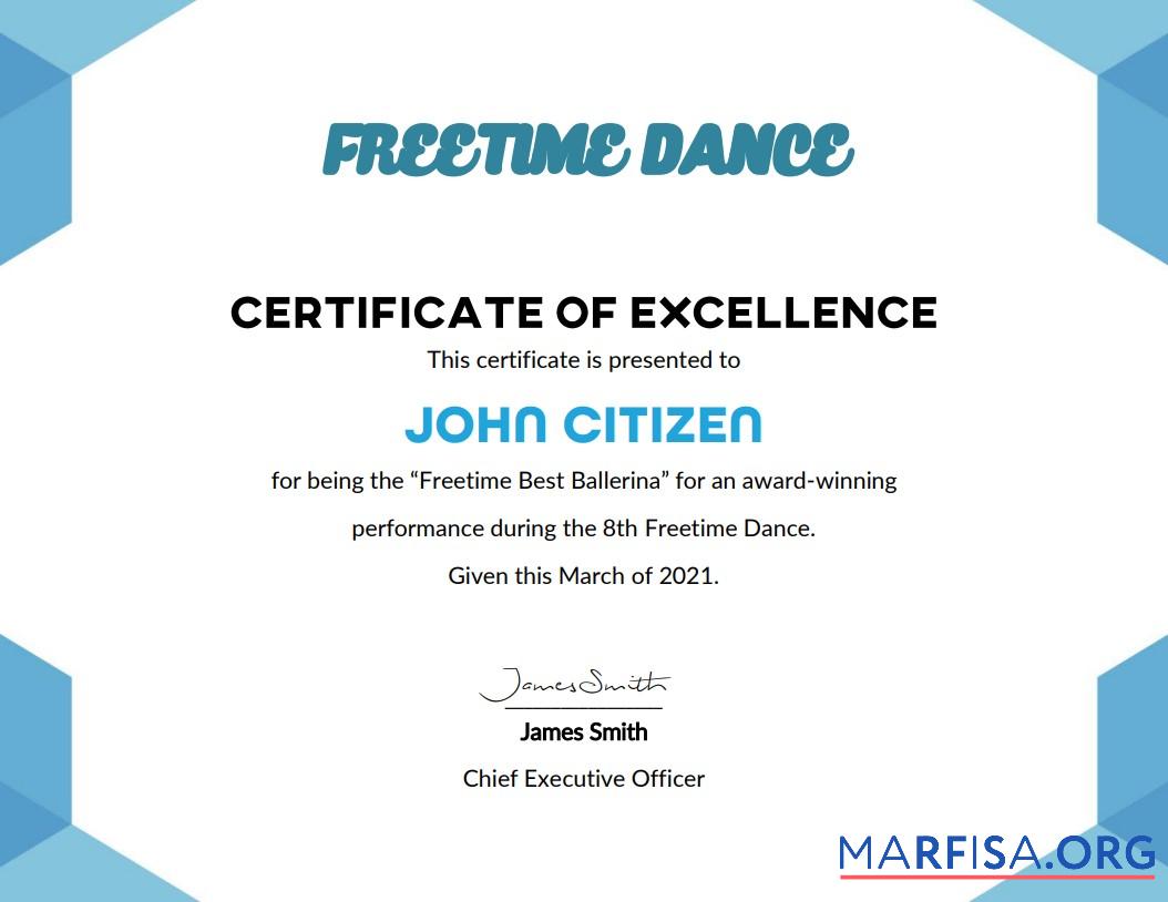 Printable USA Best Performance Cert sample